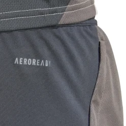 Hombre Adidas España, S.A.U Pantalones*Pantalón Corto Hombre adidas Entrenamiento UCL Gris 24/25