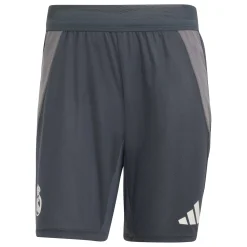 Hombre Adidas España, S.A.U Pantalones*Pantalón Corto Pro Hombre adidas Entrenamiento UCL Gris 24/25