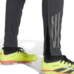 Hombre Adidas España, S.A.U Pantalones|Chándal*Pantalón Hombre adidas Entrenamiento UCL Gris 24/25